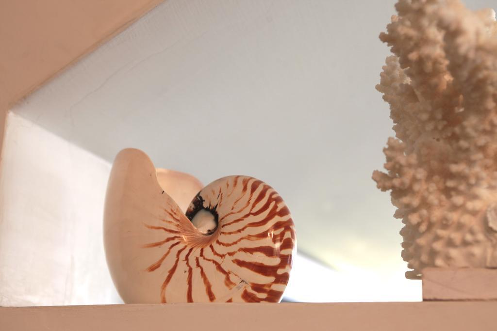 Hotel Nautilus à Riccione Extérieur photo